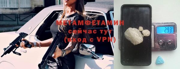 трава Аркадак