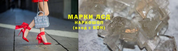 трава Аркадак