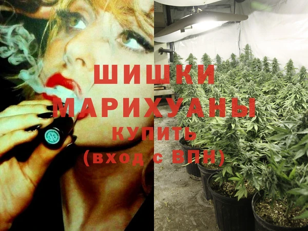 герыч Ступино